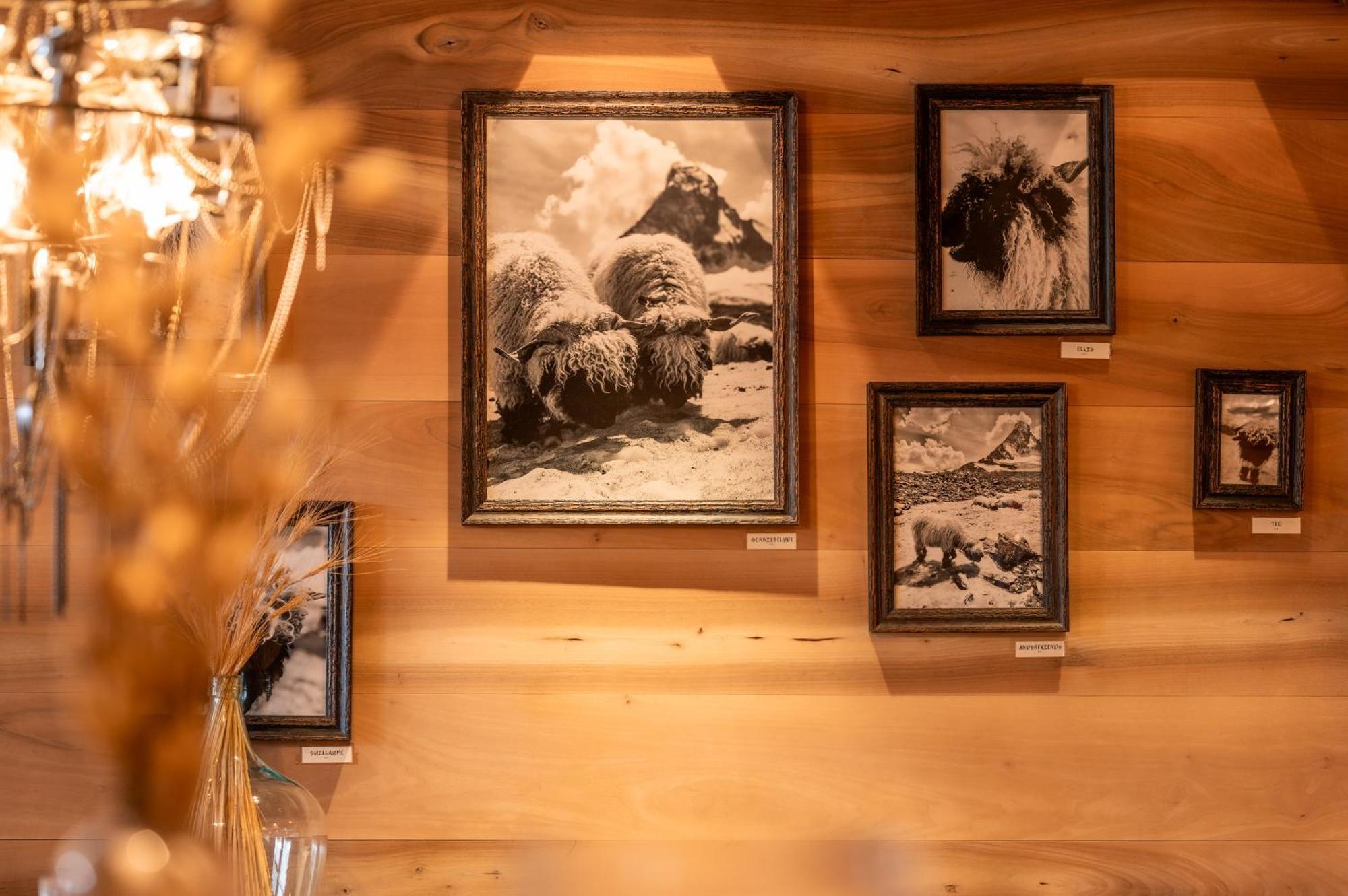 Sonnmatten Boutique Hotel & Apartments Zermatt Esterno foto